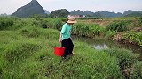 在农场旁边的臭沟中发现珠宝，原来臭沟中也有好东西