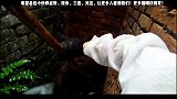 街边恶霸猫被打坠落深坑，绝育领养后秒变高富帅！ 流浪猫  猫