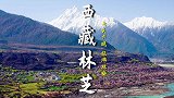 有一种蓝叫西藏蓝，林芝桃花盛开的季节，你在哪里