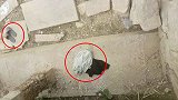 山东3男子游泳后丢衣物 引“乌龙搜救”