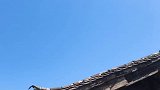 丽江古城的美，一切尽在不言中，静静的欣赏就好。