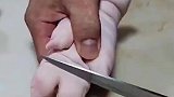 原来猪蹄筋是这样抽出来的