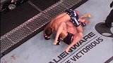 UFC-15年-本周最佳降服：洛克霍德蛮力手臂十字固降服波特舍（4月15日）-精华