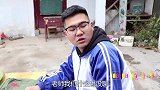 伙伴们一起吃鱼果，没想大锤“猪八戒吃鱼果”，能吃出味道吗
