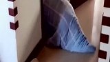 一床被子估计能玩一整天