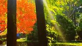 冬天有种秋天的温暖～
