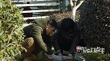 陈翔六点半：这种智商，还别学人家偷东西？