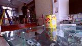小猫没事照镜子说你还顶嘴，让我教育狗狗吓吓你！
