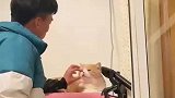 专程来看女朋友的男生，进屋半个小时了还在和猫猫玩