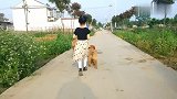 小女孩周末出去遛狗，走在乡间的马路上，这场面太有爱了