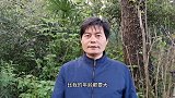 春天香椿头是一道必吃菜，它除了营养又美味，还有这功效