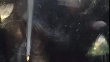 猩猩这太小气了,才给这么一点点!