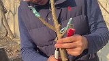 小院改造第二季；装修零基础的老公，会把老瓦房的改造成啥样子？老房改造 田园生活 猫