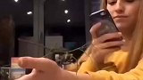 女生养了一只螳螂，竟然会跳舞呢