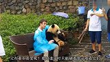 纽约公园里出现一只中国鸟，引全城人围观，老外直呼太漂亮了！