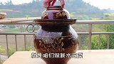四川泡菜最正宗做法，掌握这些技巧，你做的也不会长花还酸脆爽口