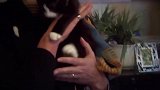 发现一只小萌猫咪，看着水灵灵的大眼睛，竟然有点羡慕！
