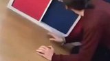 这一吓把猫都吓延迟了，它在犹豫到底该不该怕