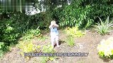 宝宝爬上椅子后不敢下来了，大声呼叫爸爸，小模样太好玩了