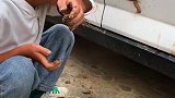 但凡我开一下车门，我都有罪