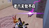 老六真是无处不在啊！