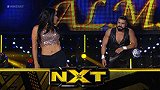 WWE-17年-WWE NXT第417期全程-全场