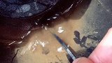 为什么有的车会腐蚀的快，原因在这里