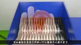 粉碎机VS水宝宝，水宝宝会是什么下场网友心疼水宝宝一秒钟