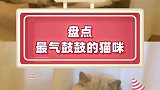 这叫啥？空城计？欲擒故纵？