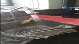 我家的宠物会自己洗澡，总算让我省点心