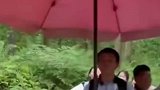 这妥妥的安全感谁懂啊
