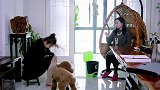 美女被狗咬反被敲诈，男友一句话扭转局面