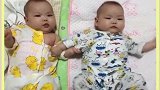 妈妈你们能不能别打架，赶紧把手给我松开，太不听话了！