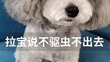 一盒3支，每月一次，可用3个月