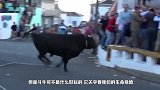 男子作死在铁笼中挑逗公牛，公牛一头钻进笼子，男子瞬间被挑飞