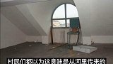 浙江阁楼藏S案 (一)  真实案件