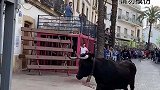 西班牙街头斗牛，人躲在笼子里挑逗公牛，牛敢让我进来吗？