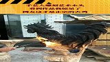 手艺人雕刻，看到作品惊呆众人，这才是正宗火鸡！