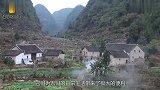 “太岁”究竟是啥东西是动物还是植物，答案很多人想不到