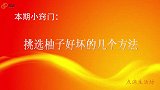 柚子挑选有窍门，牢记4句口诀，保证买的柚子香甜多汁，方法真棒