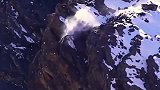 雪豹的每一次捕猎，都是“自杀式”捕食，百米悬崖说跳就跳！