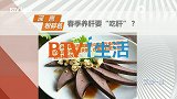 春季养肝要“吃肝”？以形补形到底行不行？