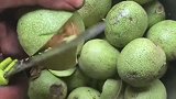 小伙给核桃去壳，秒剥壳取出果肉，操作完美到，无可挑剔