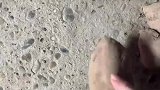 我该怎么向你形容它的味道呢？大概每个农村孩子都懂