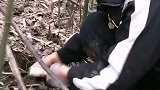 必须向前看，要犯就犯新的错误