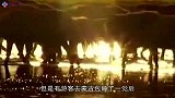 在蒙古包留宿，主人会放一条红线，隔日游客：这待遇没人能接受