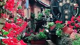 放慢脚步，来感受丽江古城之美。