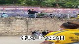 现在送外卖门槛都这么高了吗？不会点飞檐走壁的功夫，还真做不来