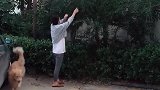 狗子：铲屎官快跑，不然被人家发现了！