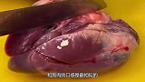 手撕猪心最正确的做法，讲解通俗易懂，用料简单，全家老少都爱吃